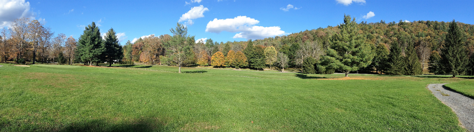 Golf course on a sunny day. Greens in the foreground  onlooking the forest and mountains behind and a blue sky with white clouds above